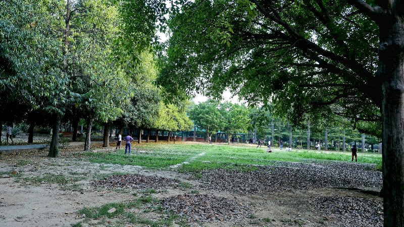 Tau Devilal Biodiversity Park