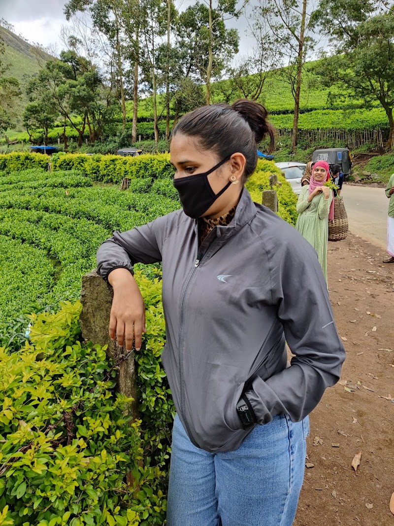 Photo Point - Photo Point Munnar - Top Station Highway, Mattupetty, Munnar, Kannan Devan Hills, Keralam 685616, India