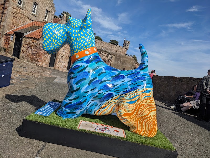 Crail Harbour - Crail Harbour, Crail, Anstruther KY10 3SU, UK