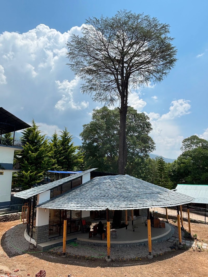 Deyar Coffeehouse - Deyar Coffeehouse, opp. Local Store, Bir Colony, Chaugan, Bir, Himachal Pradesh 176077, India