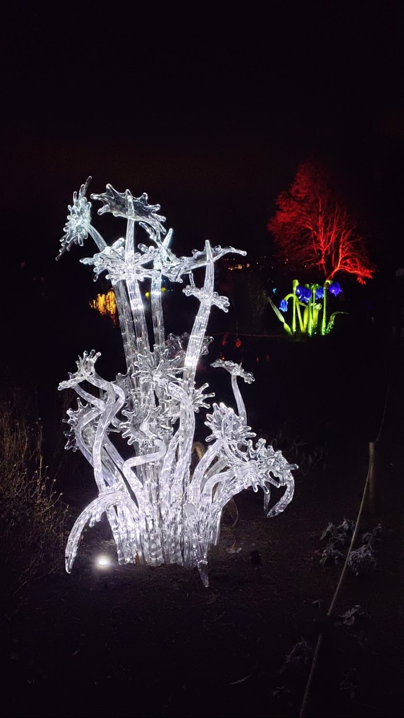 Křišťálová Zahrada - Křišťálová Zahrada, Nádvorní 309/6, 171 00 Praha 7, Czechia