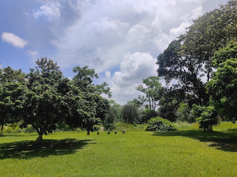 Puroni Bheti Tea and Farm Retreat - Puroni Bheti Tea and Farm Retreat, Haroocharai Tea Estate, Jorhat, Gayan Gaon, Assam 785006, India