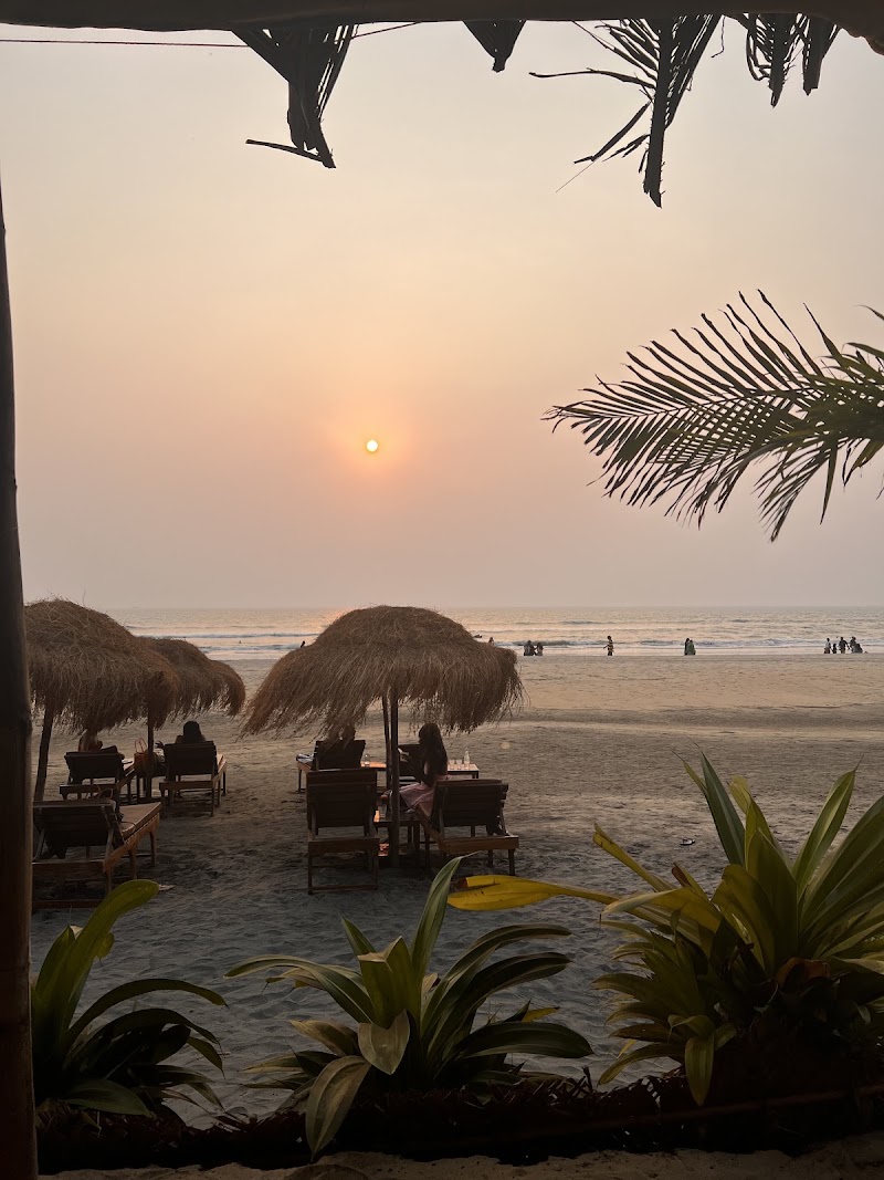 Ashwe 351 Beach Bar & All Day Dining - Ashwe 351 Beach Bar & All Day Dining House no 351, Ashvem Beach, Palma Beach resort, Mandrem, Goa 403527, India