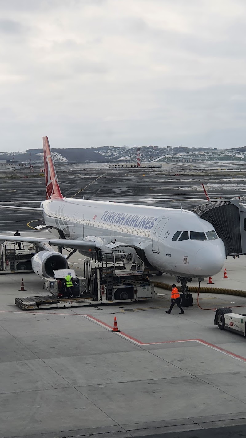 Turkish Airlines (Direktion) - Turkish Airlines (Direktion) Büchsenstraße 15, 70173 Stuttgart, Germany