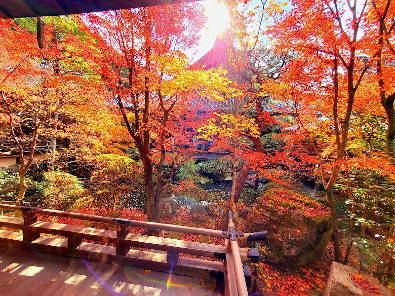 Eikandō Temple - Eikandō Temple, 48 Eikandōchō, Sakyo Ward, Kyoto, 606-8445, Japan