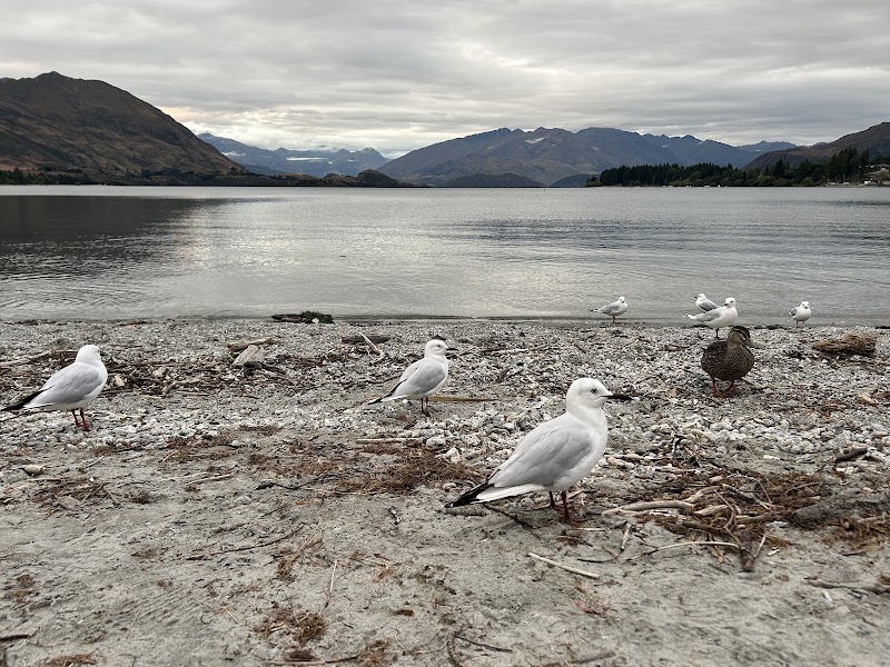 Wānaka Township - Wānaka Township, 163 Ardmore Street, Wānaka 9305, New Zealand