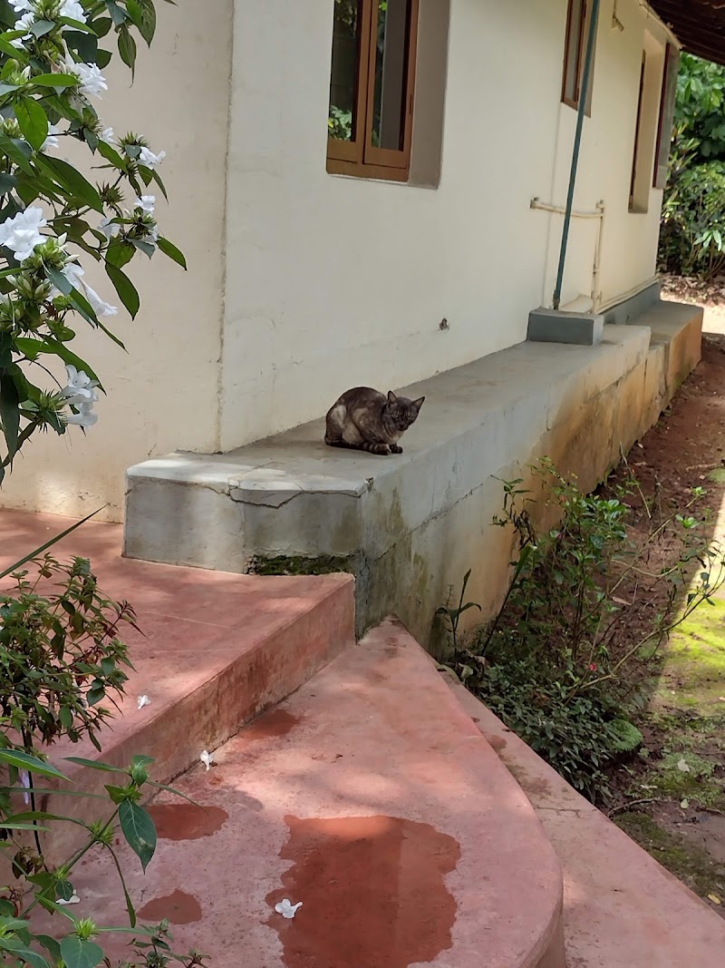 The Last Resort - The Last Resort, S.No. 24, Hosapatna Village, Kushalnagar, Nanjarayapatna Post, Hosapatna, Coorg, Rangasamudra, Karnataka 571234, India