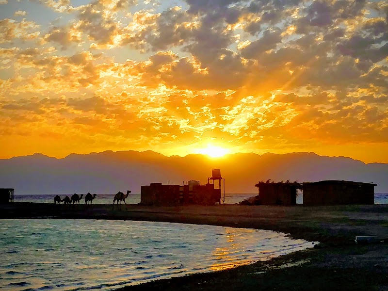BlueLagoonIsland Camp - BlueLagoonIsland Camp, Blue lagoon, abou galoom, Dahab, South Sinai Governorate 46617, Egypt