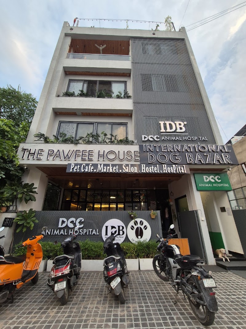 The Pawfee House - The Pawfee House FS-6, Gayatri Nagar, Maharani Farm, IHITC Durgapur, Durgapura, Jaipur, Rajasthan 302018, India