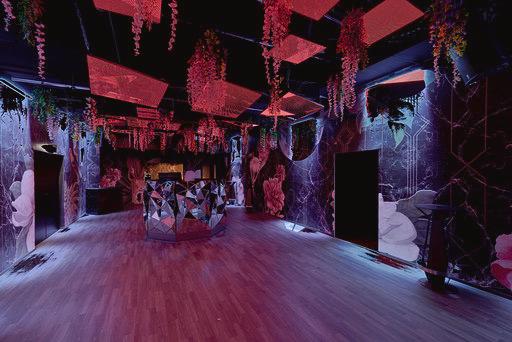 O - the club - O - the club, Opernring/Operngasse, 1010 Wien, Austria