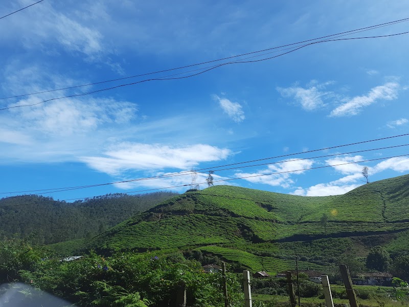 Munnar - Munnar 33Q6+34C, Munnar - Udumalpet Rd, Nullatanni, Munnar, Kerala 685612, India