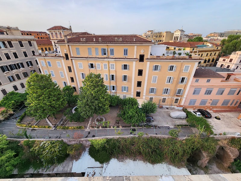 Le Rondini a Roma