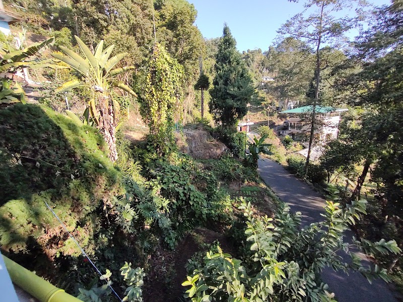DAFFODIL HOME STAY - DAFFODIL HOME STAY UPPER PUDUNG, near Kilatar Road, Deolo, Kalimpong, West Bengal 734301, India