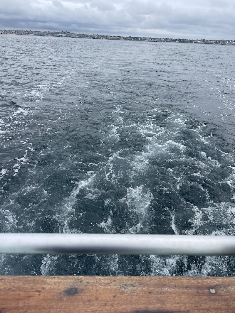 Los Angeles Yacht Charter - Los Angeles Yacht Charter 13701 Fiji Way, Marina Del Rey, CA 90292, USA