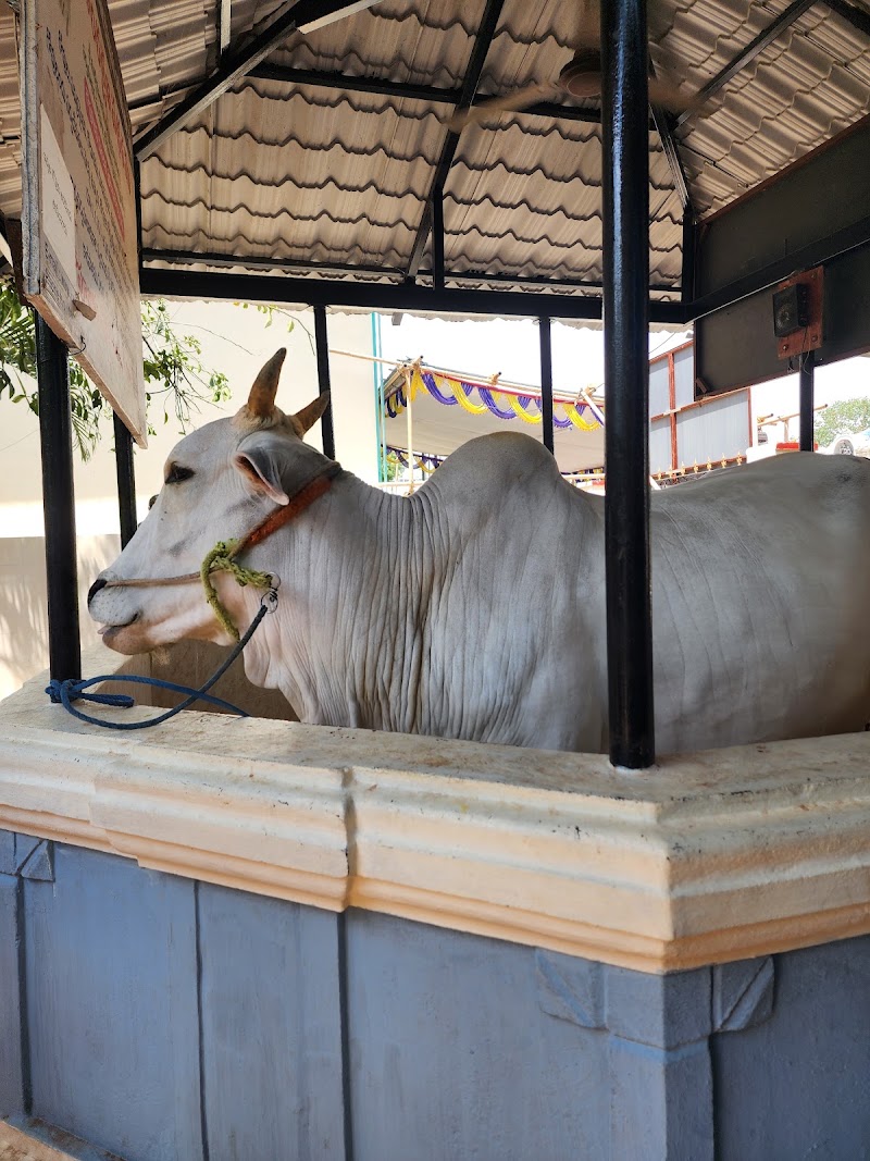 Goshala, Sri Swayambhu Varasidhi Vinayaka Swamy Devastanam, Kanipakam - Goshala, Sri Swayambhu Varasidhi Vinayaka Swamy Devastanam, Kanipakam, Goshala, Kanipakam, Andhra Pradesh 517131, India