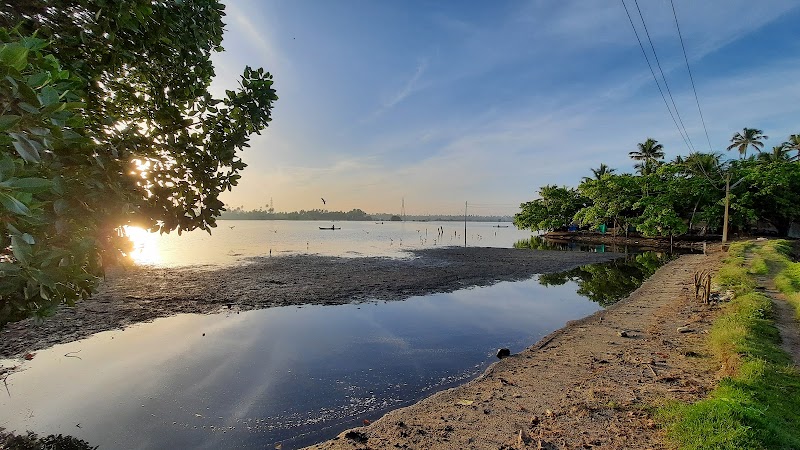 Kumbalangi