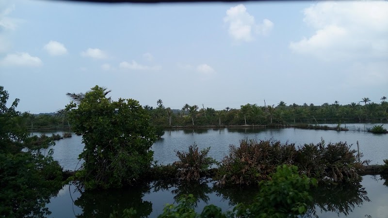 Alleppey Backwaters - Alleppey Backwaters G99J+2PF, Meenappally, Kuttamangalam, Kuppapuram, Kainakary North, Kerala 688011, India