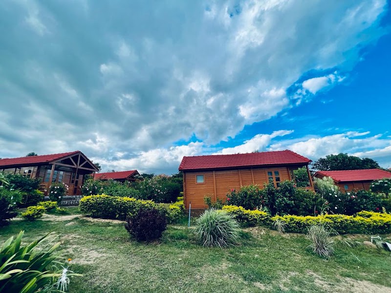 Leo wooden Resorts