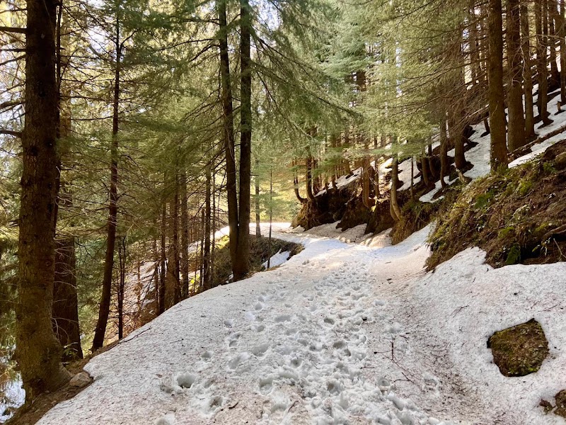 Kalatop Wildlife Sanctuary - Kalatop Wildlife Sanctuary H238+5X8, Kalatope R.F, Himachal Pradesh 176304, India