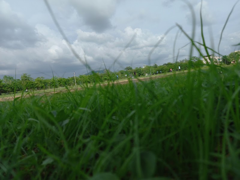 216 BN, CRPF CAMP, NUAPADA,ODISHA - 216 BN, CRPF CAMP, NUAPADA,ODISHA, NH353, National College, Bhajipala, Odisha 766105, India