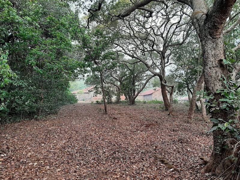 Mahabaleshwar Bungalows & Cottages - Mahabaleshwar Bungalows & Cottages, Plot No. 16/B, Khingar Road, Besides Blue Country Resort, MSEB Office, opposite Panchgani, Shahunagar, Khingar, Maharashtra 412805, India