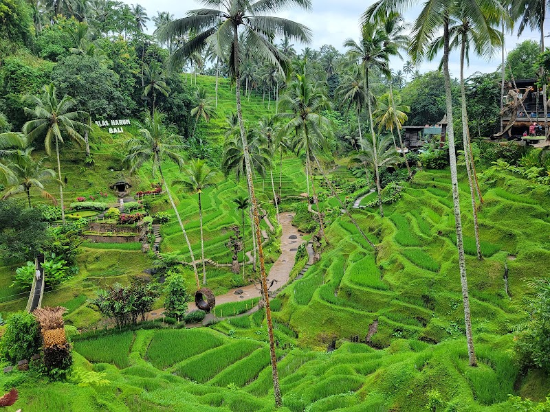 Alas Harum Bali - Alas Harum Bali, Jl. Raya Tegallalang, Tegallalang, Kec. Tegallalang, Kabupaten Gianyar, Bali 80561, Indonesia