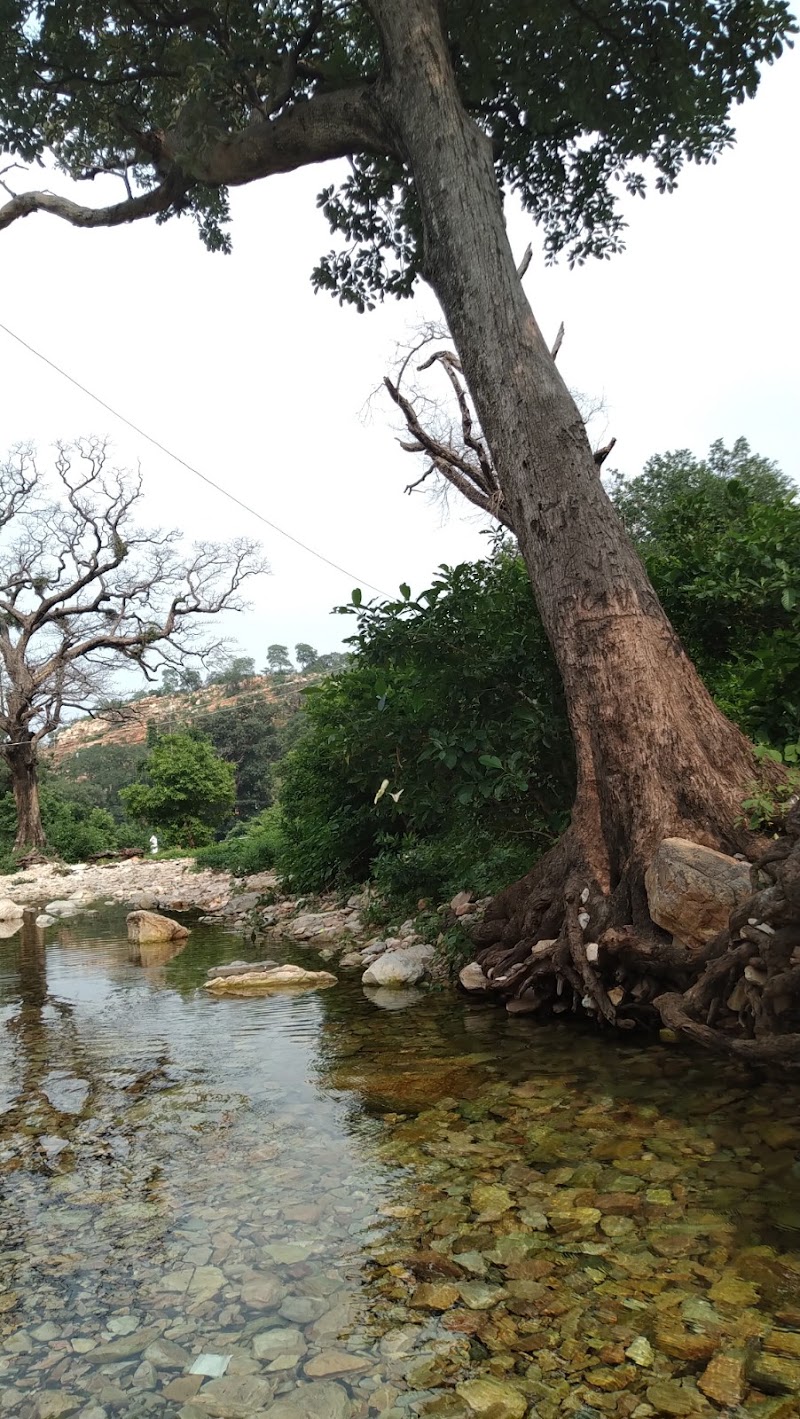 Penchalakona Waterfalls - Penchalakona Waterfalls, Penchalakona, Rapuru Mandal, SPSR, 8CJ3+4XR, Andhra Pradesh 524414, India