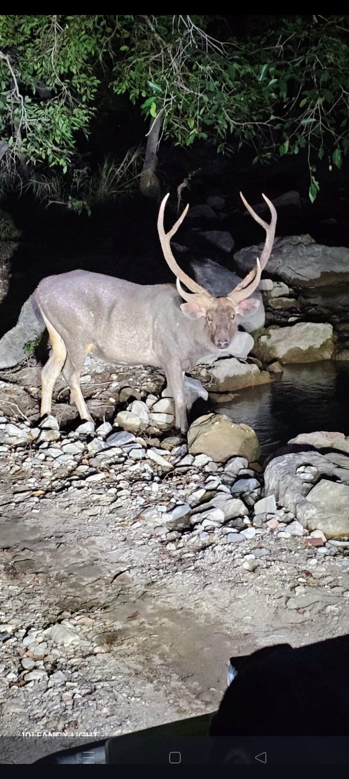 Kumbhalgarh wildlife sanctuary - Kumbhalgarh wildlife sanctuary Aaret, कुम्भलगढ़, क़िला कुम्भलगढ़, राजस्थान 313325, India