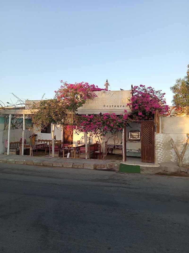 Chef Ragab - Chef Ragab, سانت كاترين، محافظة جنوب سيناء 8772440, Egypt