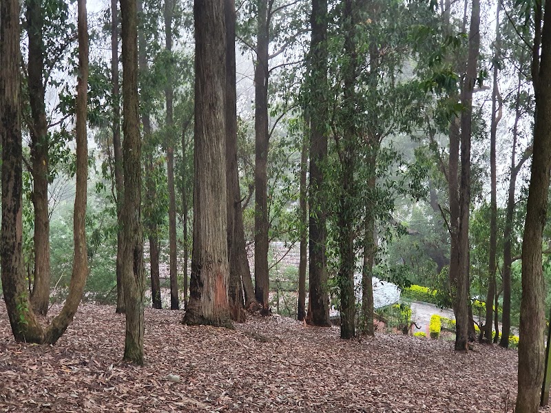 Lovedale - Lovedale Lovedale, Ooty, Tamil Nadu 643003, India