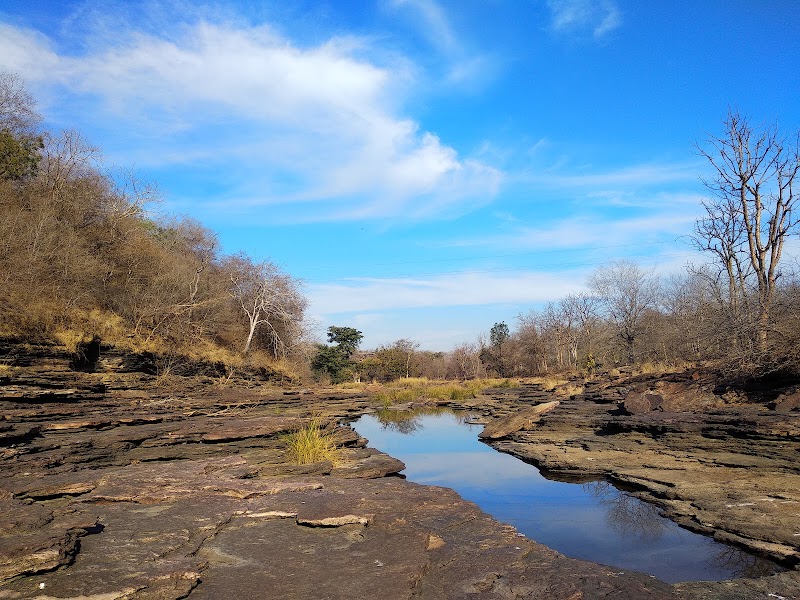 Gandhi Sagar Wildlife Sanctuary - Gandhi Sagar Wildlife Sanctuary, Chenpuriya, Madhya Pradesh 458118, India