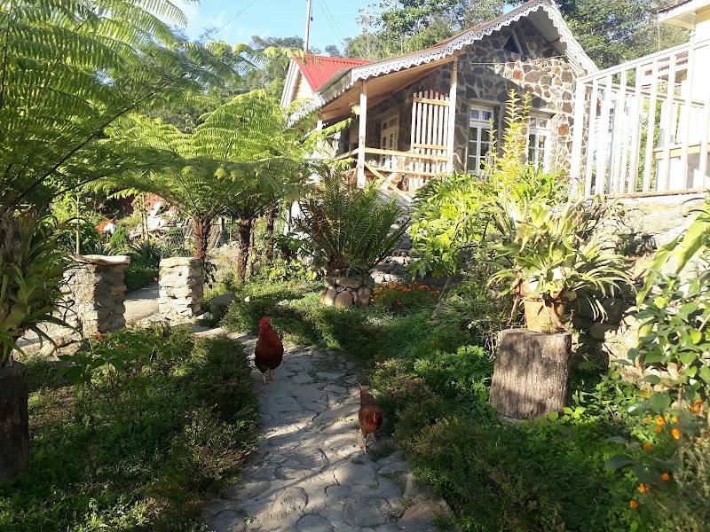 Tabakoshi Homestay Tea village an offbeat in Darjeeling - Tabakoshi Homestay Tea village an offbeat in Darjeeling Magarjung Tea Garden Kanabir,Tabakoshi, W5FG+4RJ, Mangarjung Tea Garden, West Bengal 734215, India