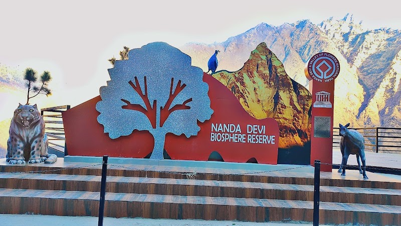 Nanda Devi Wildlife Sanctuary - Nanda Devi Wildlife Sanctuary, Nandadevi range, HHGH+2WV, Auli Rd, Joshimath Army Area, Joshimath, Uttarakhand 246443, India