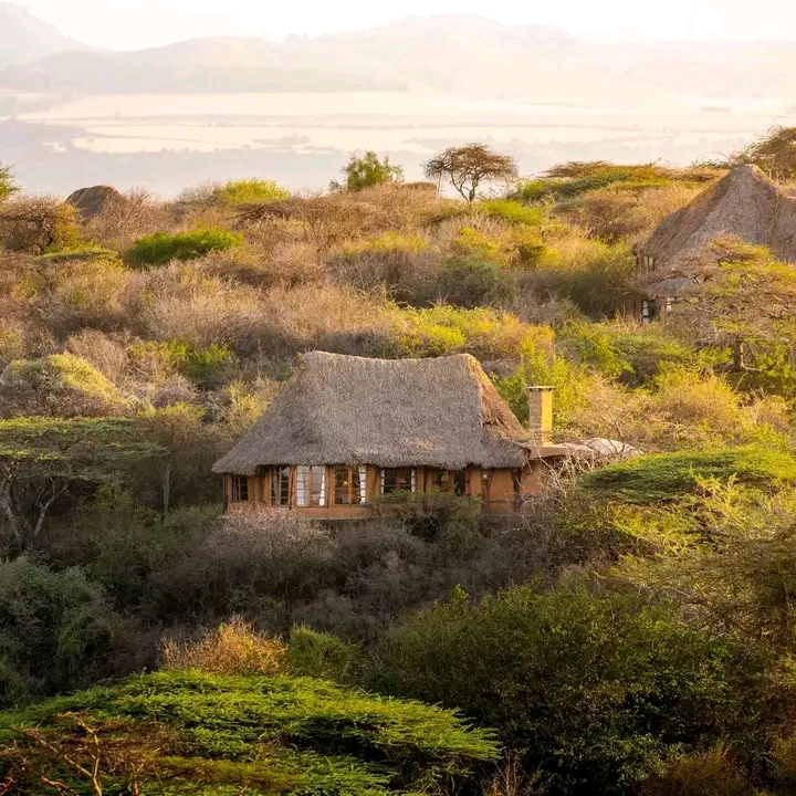 Lewa Safari Camp by Elewana - Lewa Safari Camp by Elewana, Lewasafari camp, Kenya