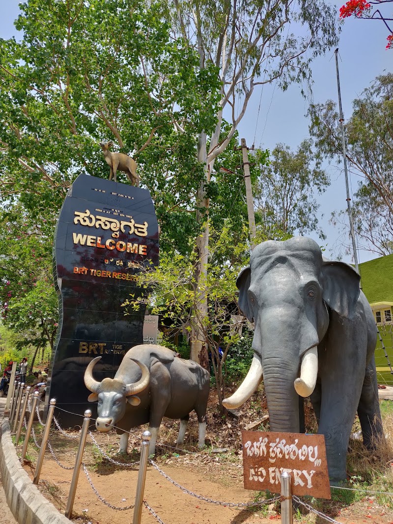 K Gudi Wilderness Camp-Jungle Lodges - K Gudi Wilderness Camp-Jungle Lodges, BR Hills Road, SH 80, Chamarajanagar, Karnataka 571342, India
