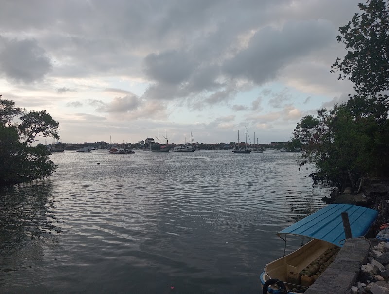 Bali Nature Harbour - Bali Nature Harbour, Jl. Pemelisan, Sesetan, Denpasar Selatan, Kota Denpasar, Bali, Indonesia