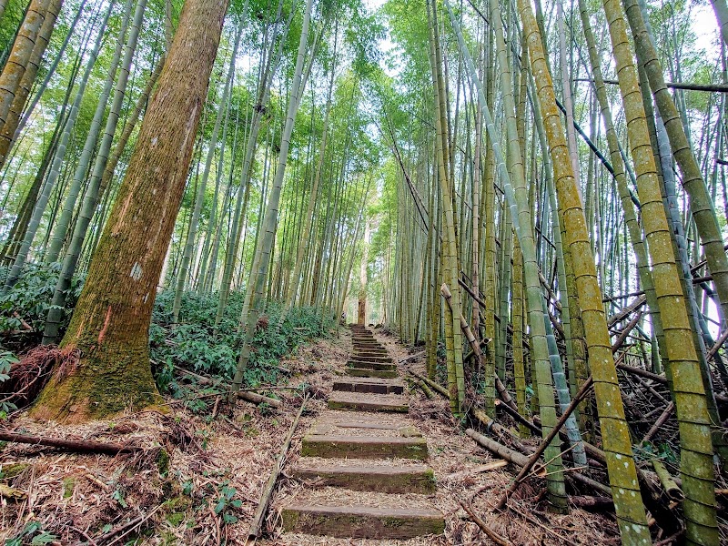 Mist Trail - Mist Trail 604, Taiwan, Chiayi County, Zhuqi Township, 16