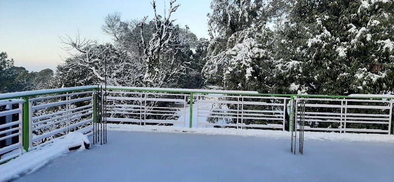 The Clovers Homestay - The Clovers Homestay Village Stowari, near Dal Lake, McLeod Ganj, Dharamshala, Dhial, Himachal Pradesh 176216, India