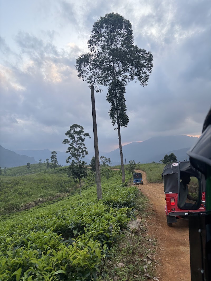 Nuwara Eliya Tours Tea Tours And Secret Falls On Hidden Paths - Nuwara Eliya Tours Tea Tours And Secret Falls On Hidden Paths, Nuwara Eliya 22200, Sri Lanka