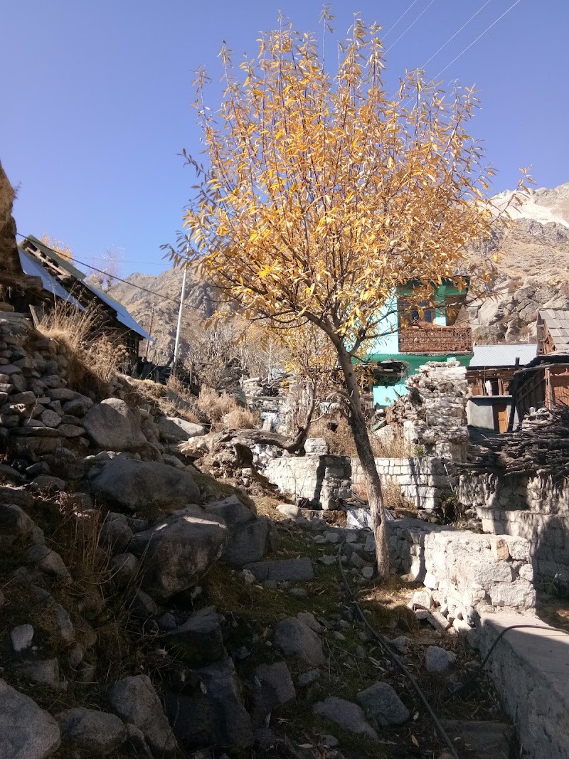 Chitkul - Chitkul Chitkul, Himachal Pradesh 172106, India