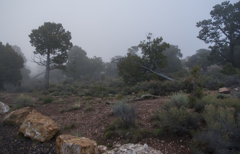 Desert View Picnic Area - Desert View Picnic Area, Grand Canyon Village, AZ 86023, USA