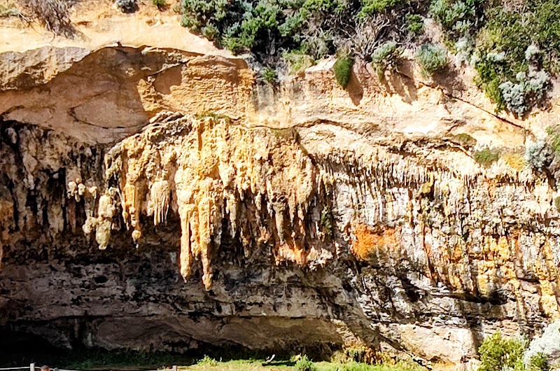 Great Ocean Road Tours - Great Ocean Road Tours, 207/198 Harbour Esplanade, Docklands VIC 3008, Australia