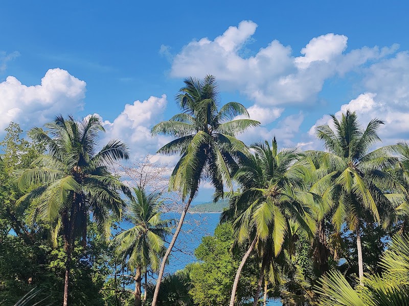 Netaji Subhash Chandra Bose Island - Netaji Subhash Chandra Bose Island Netaji Subhash Chandra Bose Island, Andaman and Nicobar Islands