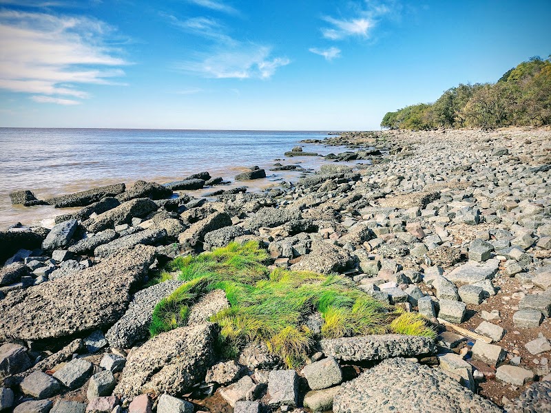 Reserva Ecológica Costanera Sur - Reserva Ecológica Costanera Sur, Av. Dr. Tristán Achával Rodríguez 1550, Cdad. Autónoma de Buenos Aires, Argentina