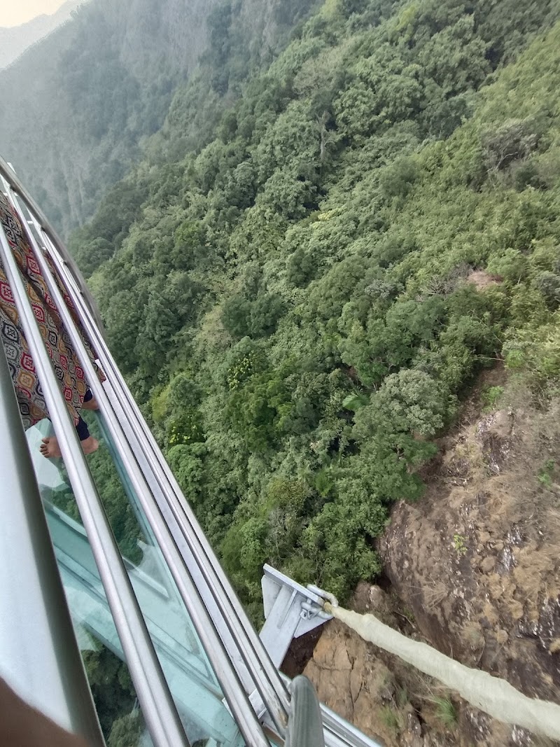 Vagamon Adventure park - Vagamon Adventure park Vedikuzhi, Vagamon, Keralam 685501, India