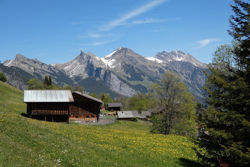 Jungfrau Region Tourism - Jungfrau Region Tourism, Kammistrasse 13, 3800 Interlaken, Switzerland