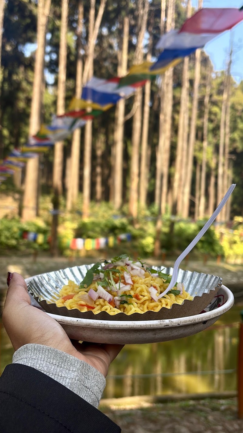 Pine View Spot - Pine View Spot 256P+H3, Ghoom Pahar Forest, West Bengal 734221, India