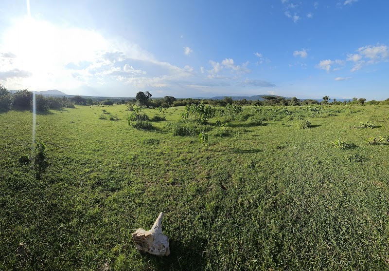 Instinct of the Mara - Instinct of the Mara, Ololaimutiek Village, Kenya