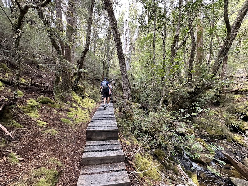 Cradle Mountain - Cradle Mountain, TAS 7306, Australia