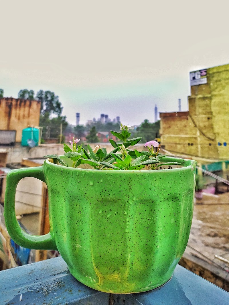Himalayan Homestay - Himalayan Homestay 474, Mother Dairy wali Gali, opposite Orient Craft Pvt Ltd, Sarhaul, Sector 18, Gurugram, Haryana 122015, India